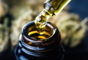 hemp oil in a droplet with buds