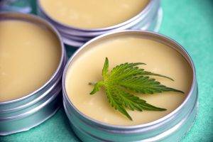 Cannabis salve with hemp and oil on green