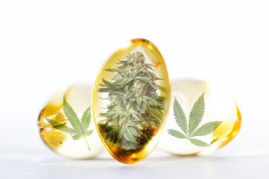 Cannabis oil capsule concept