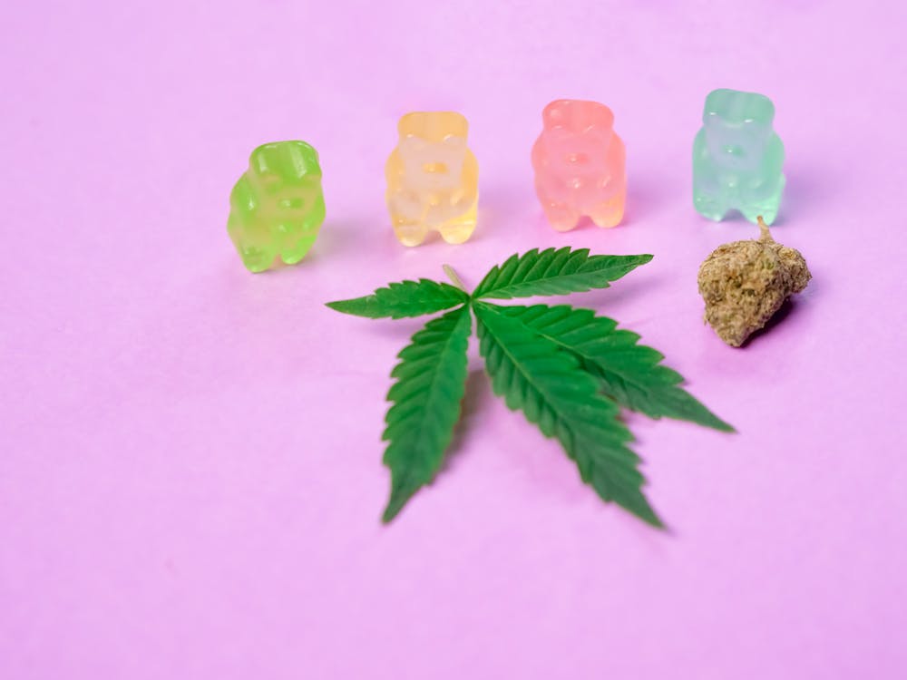 Delta 8 Gummy Bears with a hemp leaf and flower